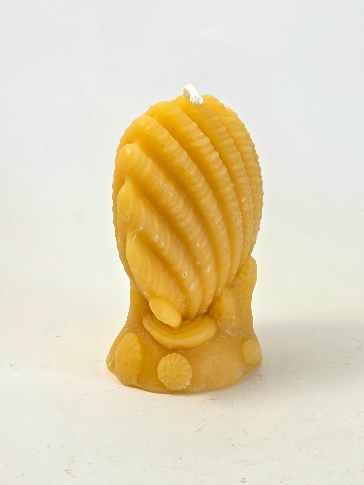 Pearlkeeper Clam | Nautical Beeswax Candle