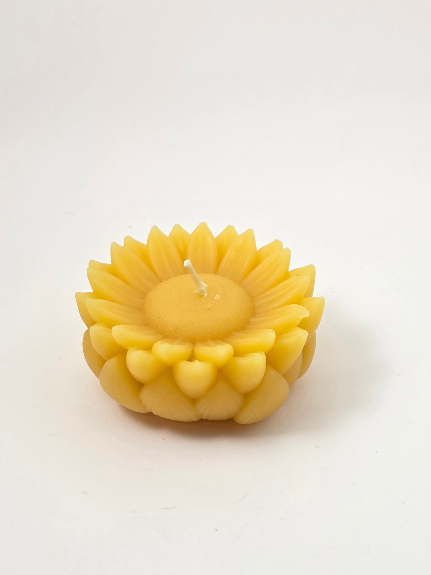 You Are My Sunshine Sunflower | Beeswax Candle