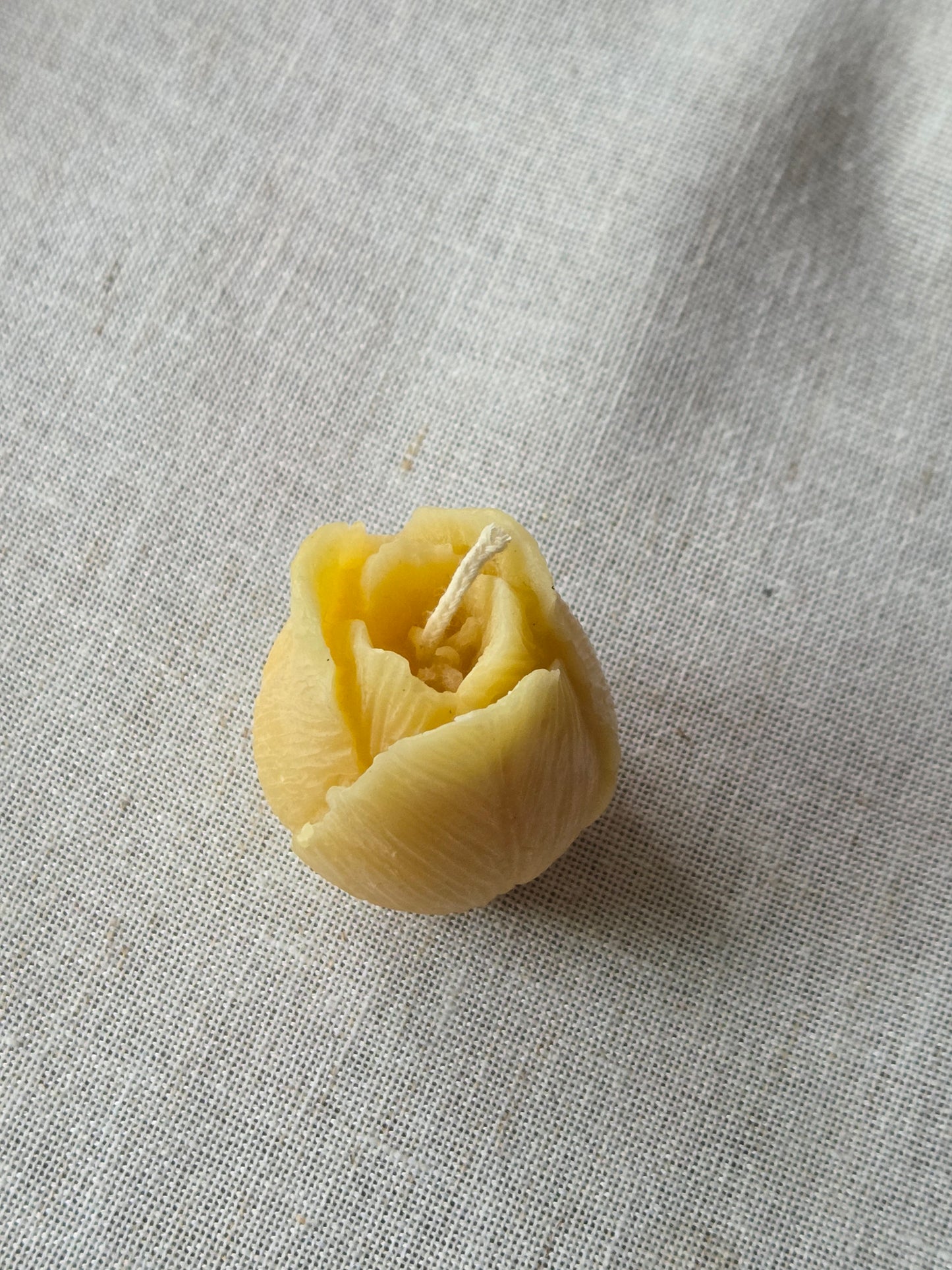 Tulip Votive, Set of 3 | Floral Beeswax Candle