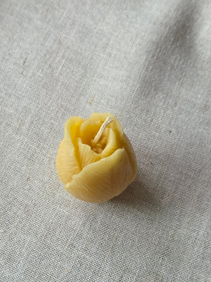 Tulip Votive, Set of 3 | Floral Beeswax Candle