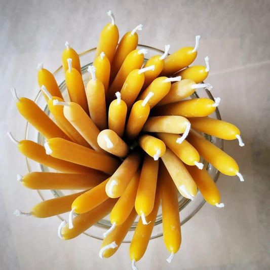 8" Traditional Tapers | Beeswax Candles