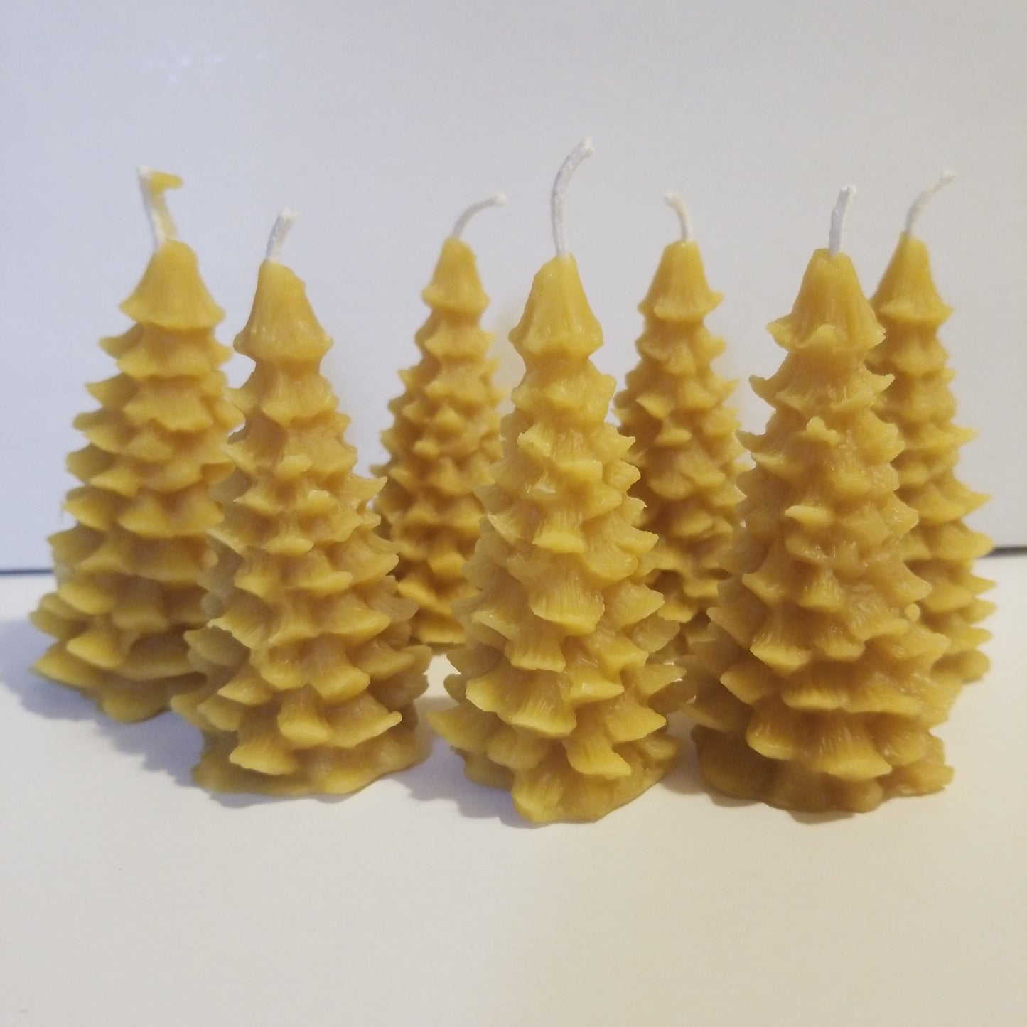 Mini Evergreen Tree Beeswax Candle