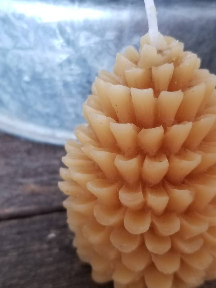 Beeswax Pinecone Candle