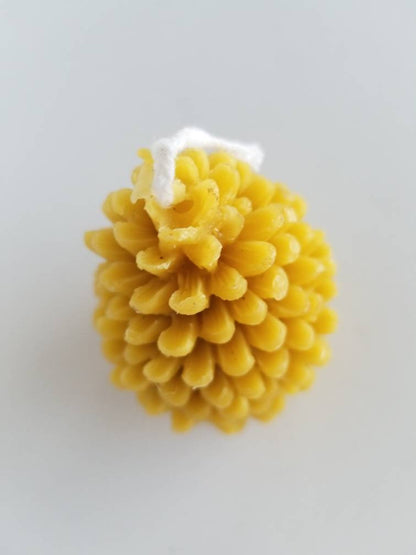 Beeswax Pinecone Candle