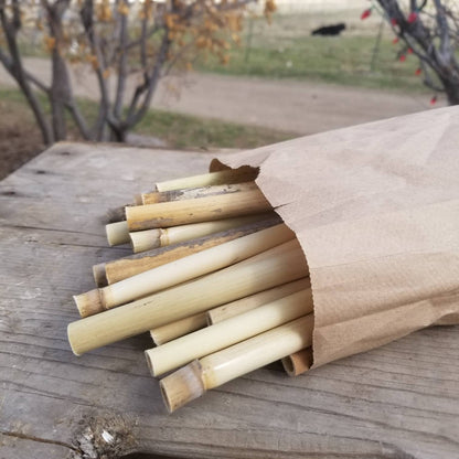 Solitary Native Bee Nesting Tube Reeds