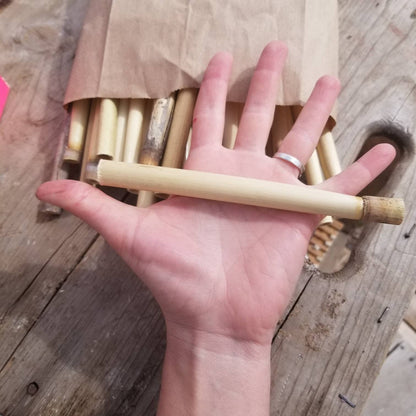 Solitary Native Bee Nesting Tube Reeds